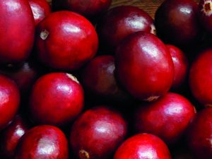 Nutraceuticals