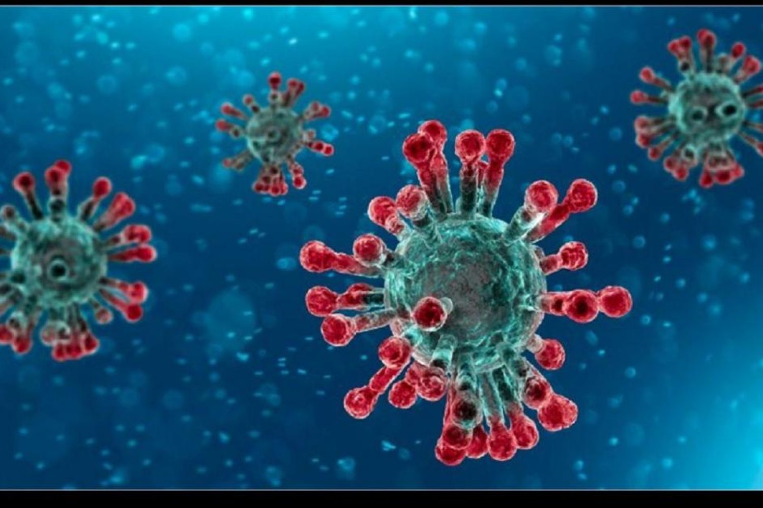 CARLO SESSA sulla SITUAZIONE del NUOVO CORONAVIRUS