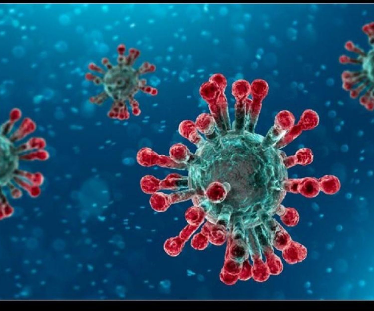 CARLO SESSA sulla SITUAZIONE del NUOVO CORONAVIRUS