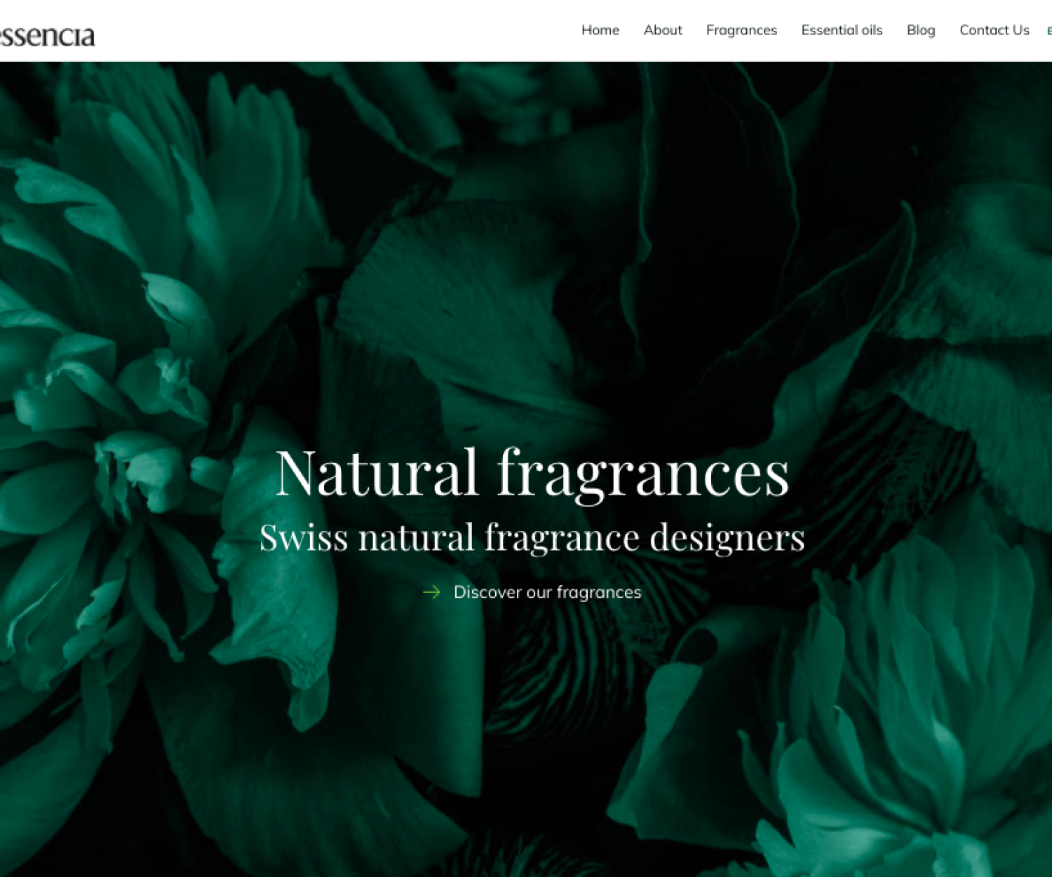 Escentina si rinnova presentando il nuovo website