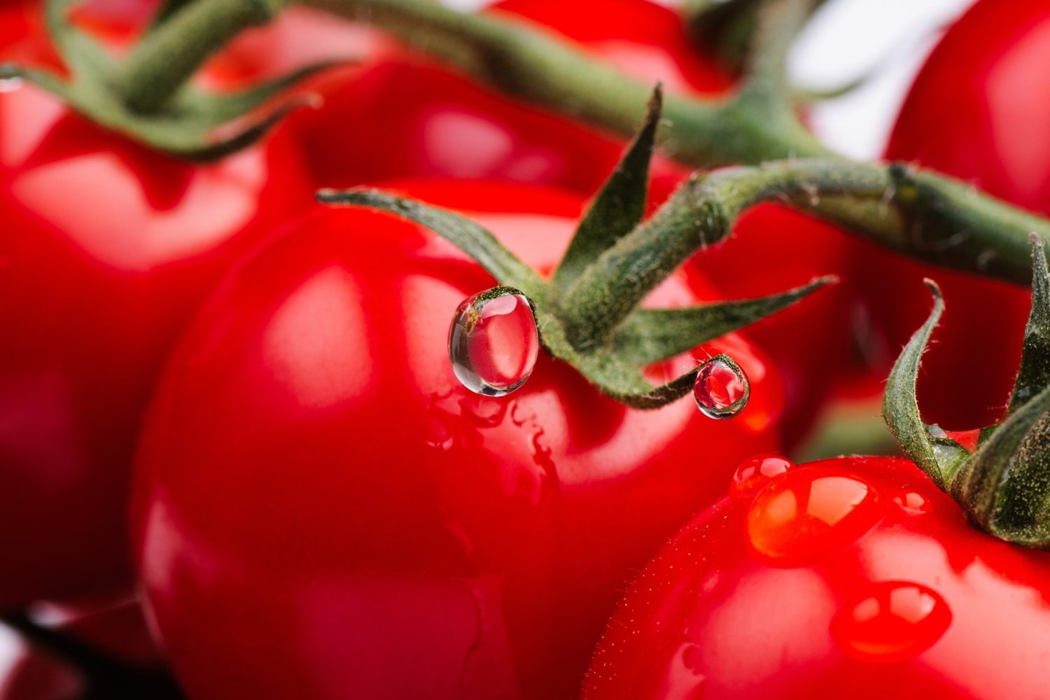 Estratto pomodoro