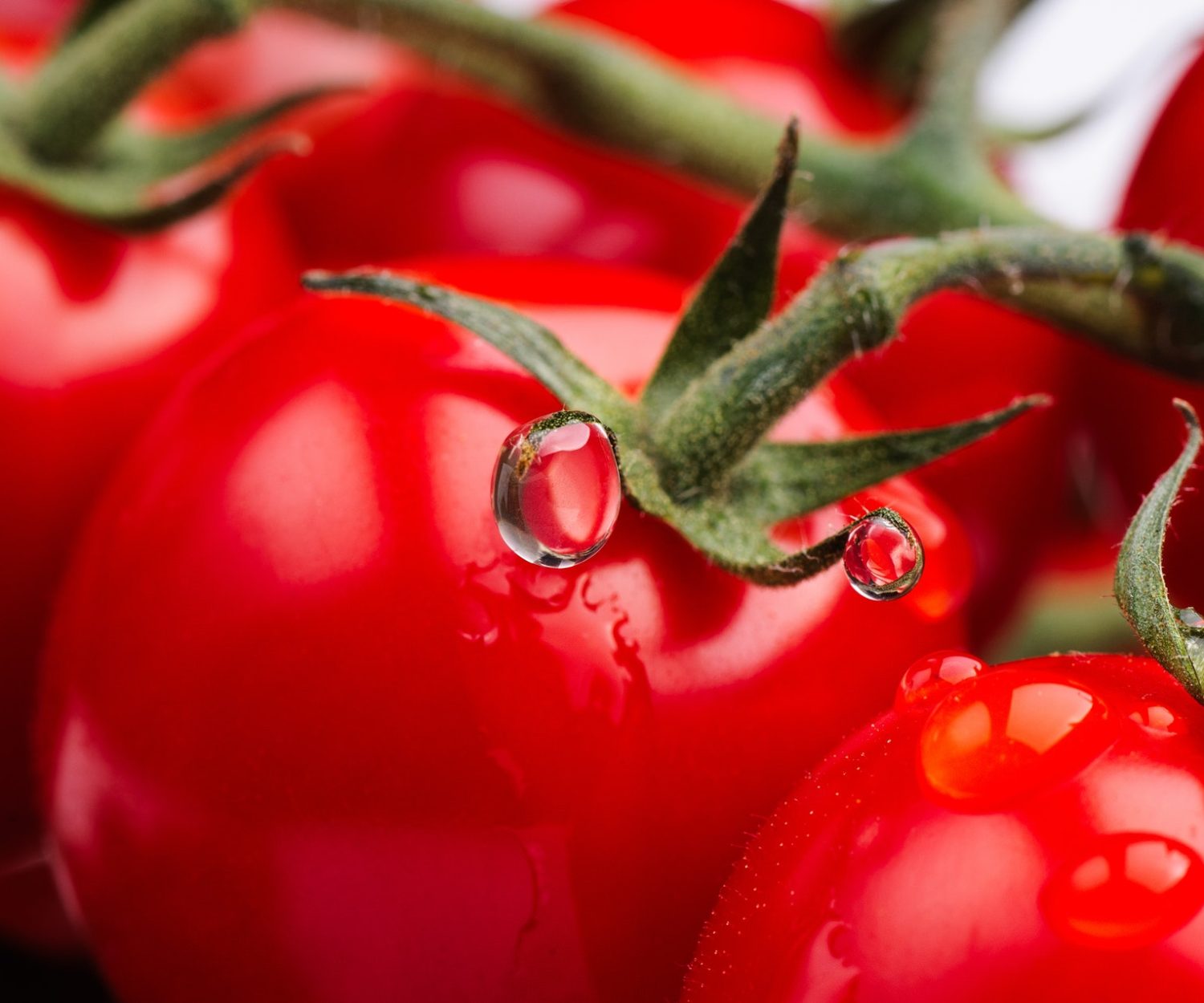 Estratto pomodoro
