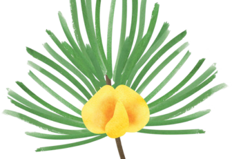 Green Honeybrush