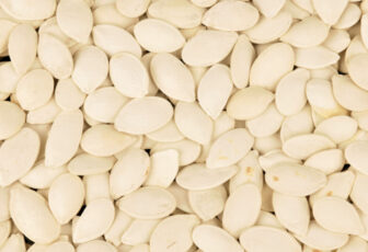 Kalahari Melonseed Oil