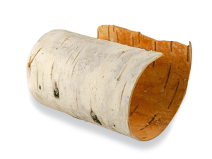 Birch LEO-HB®