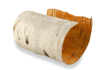Birch LEO-HB®