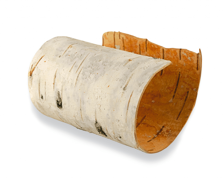 Birch LEO-HB®