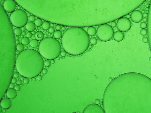 rawga vegetable collagene