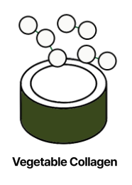 vegetable_collagen