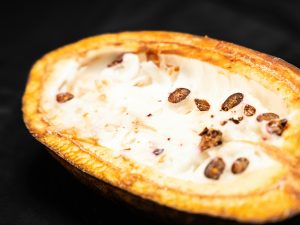 Imdermalab® CocoaRevive